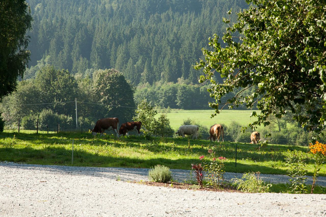 Landhotel Bayerwald Grafling Экстерьер фото